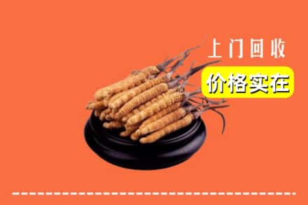 驻马店市回收冬虫夏草