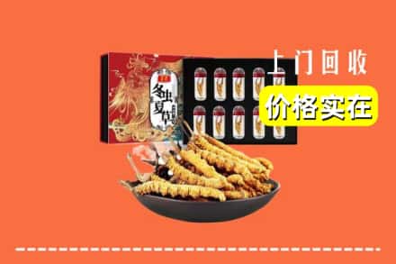 驻马店市回收虫草